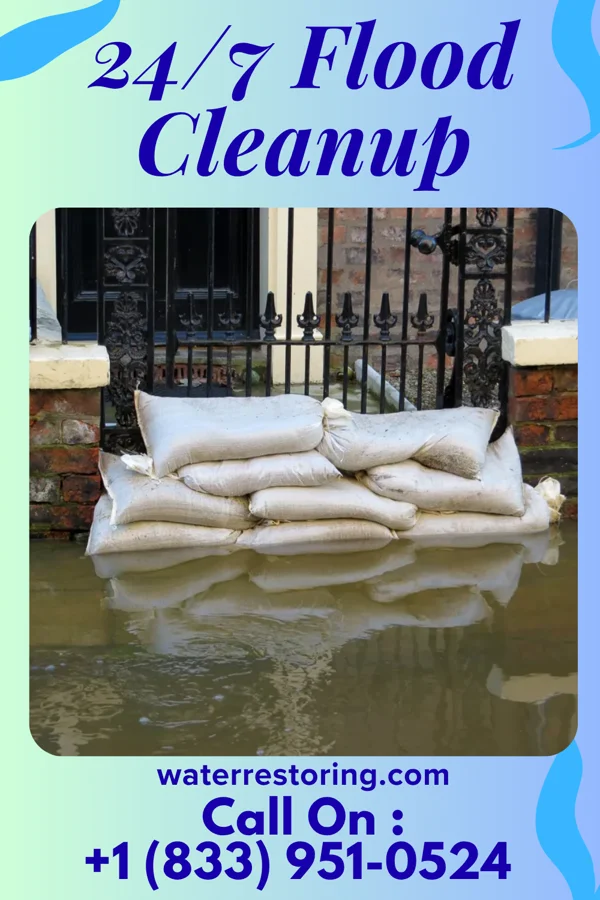 24/7 Flood Cleanup in Sansom Park, TX