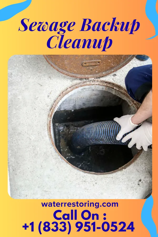 Sewage Backup Cleanup in Sansom Park, TX